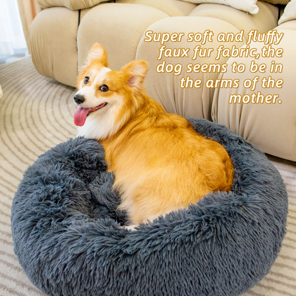 Pet Beds for Cats Dog Bed