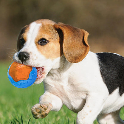 Dog Toy Ball Audible Glow Can Float Grinding Teeth
