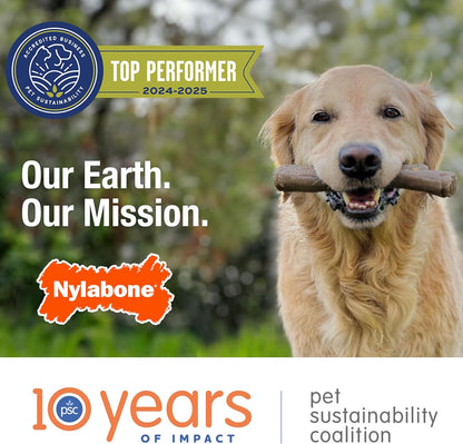 Double Action Power Chew Durable Dog Toy Bacon X-Large/Souper (1 Count)