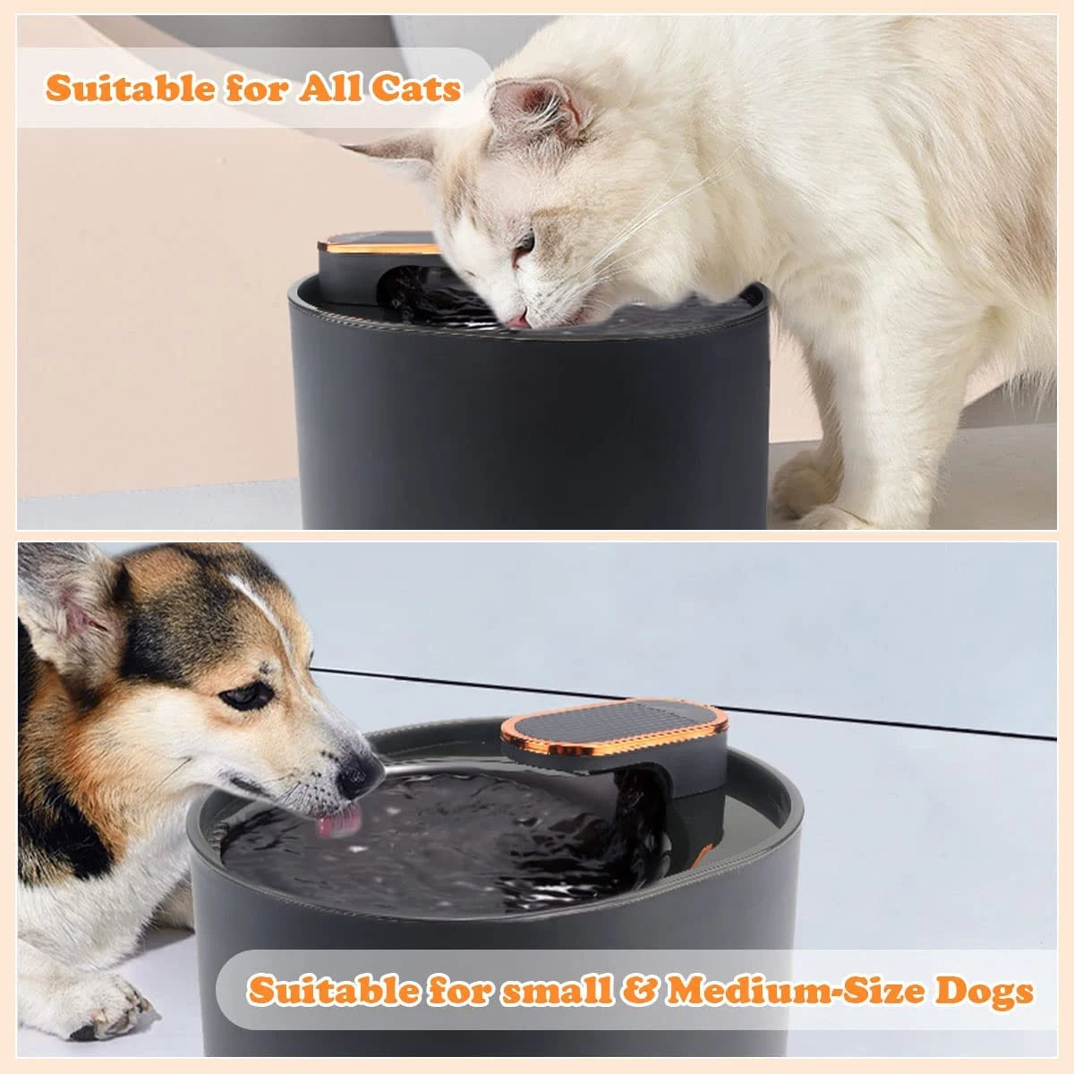 HydraGlow Motion Fountain – Smart, Silent, and Always Fresh for Your Pet