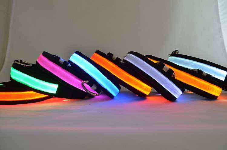 LED light up dog collar with bright flashing lights for nighttime safety