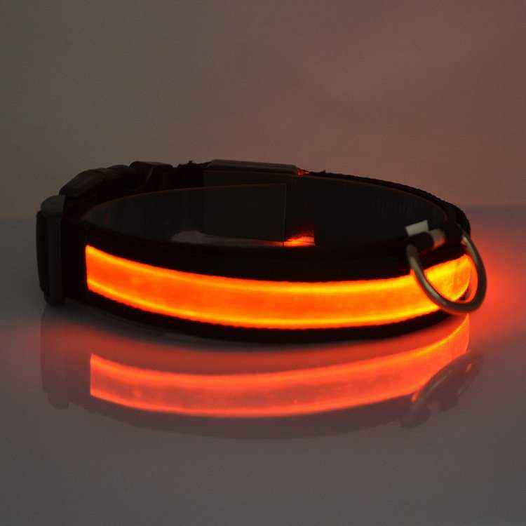 LED light up dog collar glowing at night for pet safety