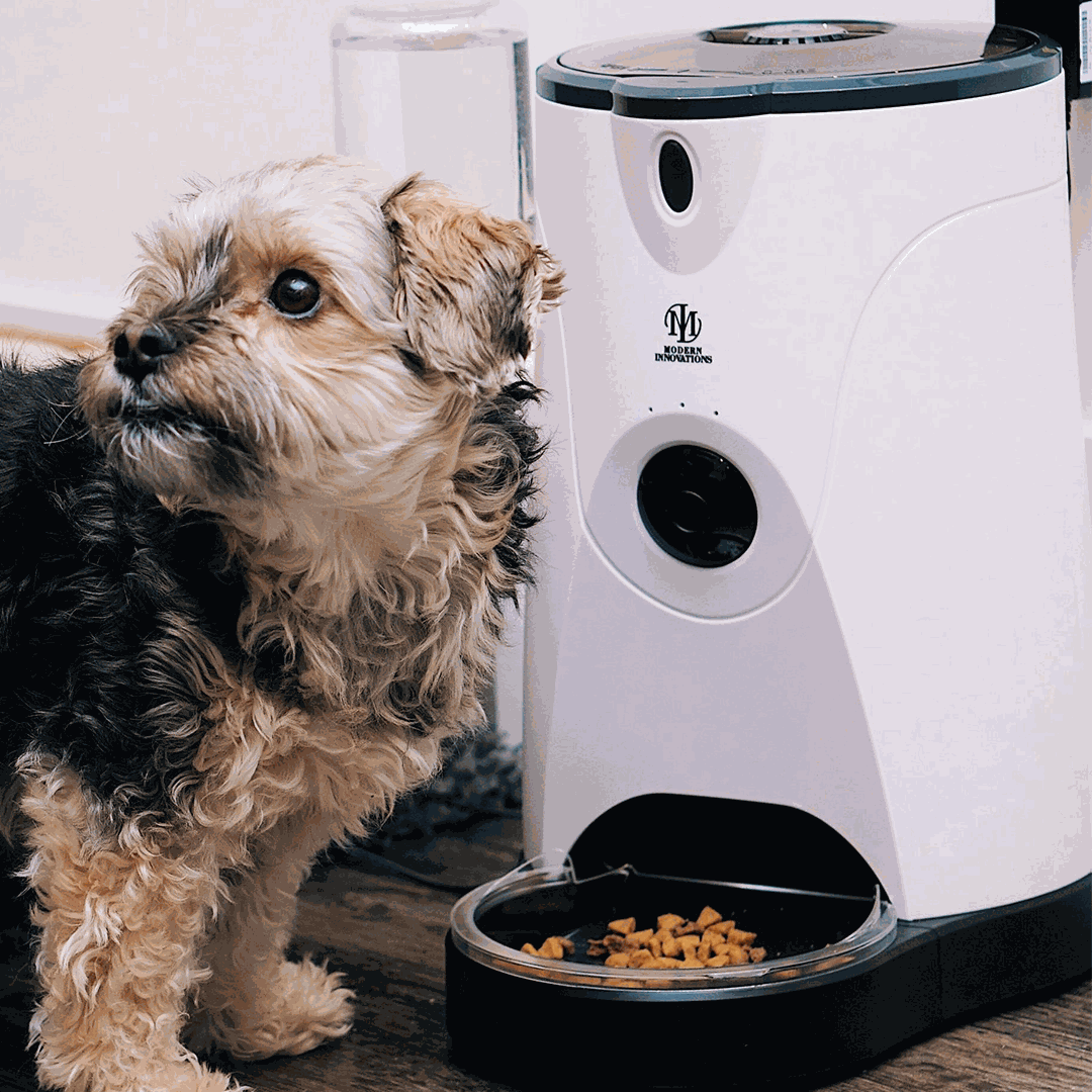 WiFi pet feeder with camera, microphone, and water attachment for remote feeding and monitoring