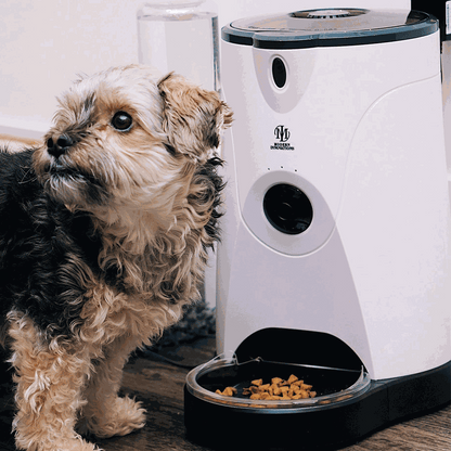 WiFi pet feeder with camera, microphone, and water attachment for remote feeding and monitoring